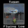 Flying Low