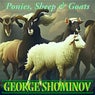 Ponies, Sheep and Goats