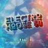 Electro House 50  Vol.1