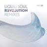Revolution Remixes, Pt. 01