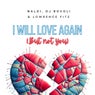 I Will Love Again (But Not You)