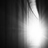 I See the Light