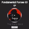 Fundamental Forces 1.0