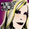 Perfect Remixes