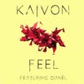 Feel (feat. Danél)
