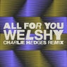 All for You (Charlie Hedges Remix)
