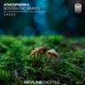 Biosfera (The Remixes)