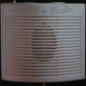 X-Dream "Radio"