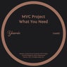 What You Need (Disco Gospel Mix)