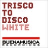 Trisco To Disco White