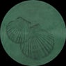 Pecten Gibbus