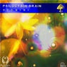 Psylocibin Brain
