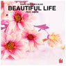 Beautiful Life (feat. Ninow)