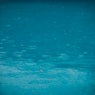 The Smell of Rain