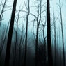 Shaken with Fear