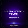 Ultra Motion / Triumph