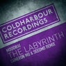 The Labyrinth - Cameron Mo & Seegmo Remix
