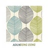 Ding Ding (Adln Remix)