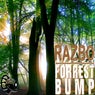 Forrest Bump