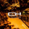 Crisp Fall Night