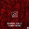 Burning For U (Carbin Remix)