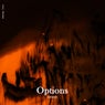 Options
