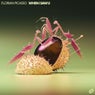 When I Saw U (Extended Mix)