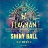 Shiny Ball Nu Disco