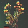Endless Love EP