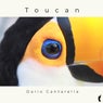 Toucan