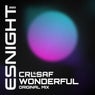 Wonderful (Original Mix)