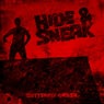 Hide And Sneak