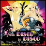 From Disco to Disco : The Best of House Music, Vol. 2