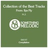 Collection of the Best Tracks From: Ilya Fly, Pt. 2