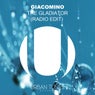 The Gladiator (Radio Edit)