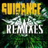 Guidance (2011 Remixes)