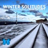 Winter Solitudes