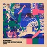 Shapes Interfusion (Live)