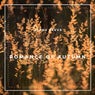 Romance Of Autumn