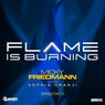 Flame Is Burning (Remixes, Pt. 2)