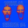 Modular Session #4
