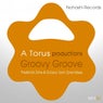 Groovy Groove (Frederick Zone & Groovy Tech Zone Mixes)