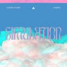 Simulation
