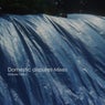 Domestic disputes Alternative Two