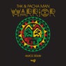 Warrior (Amice Remix)