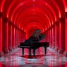 Calming Piano For The Selenators