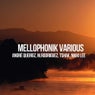 Mellophonik Various