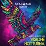 Visione Notturna