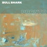 Bull Shark