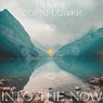 Into the Now